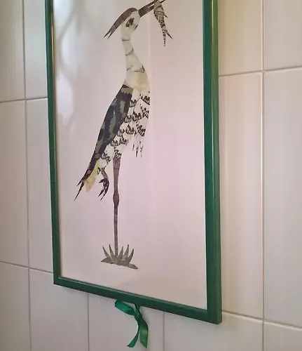 Il Giardino Di Zorro